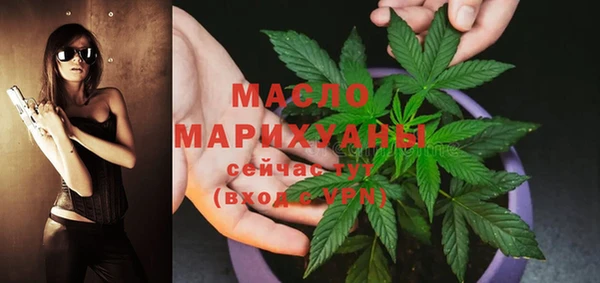 мдпв Михайлов