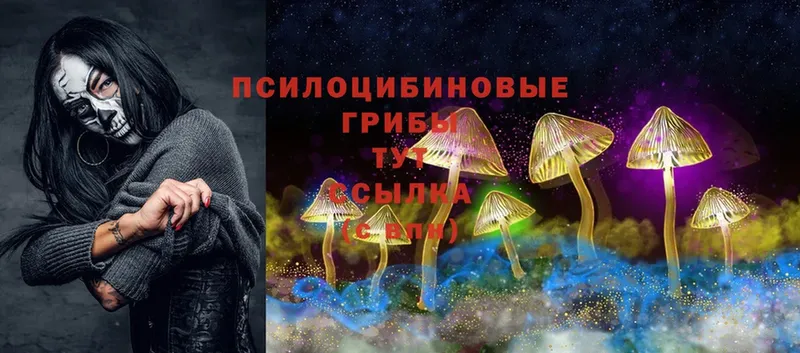 что такое наркотик  Грозный  МЕГА как войти  Псилоцибиновые грибы Psilocybe 