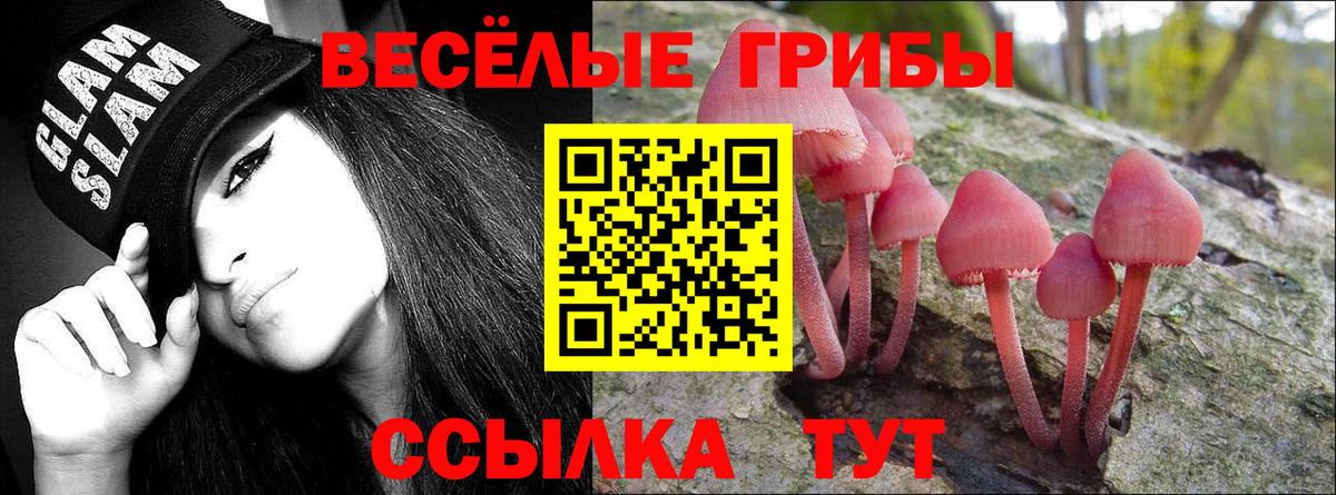 Псилоцибиновые грибы ЛСД  Грозный 