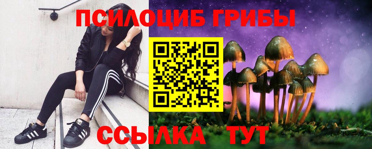 Галлюциногенные грибы мицелий Грозный